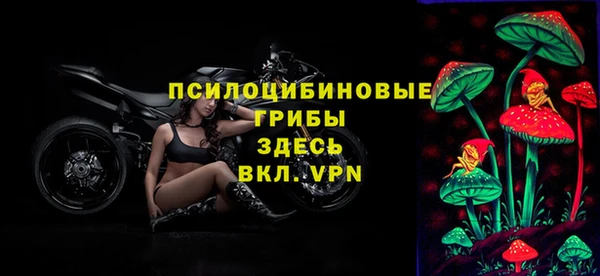 дмт Аркадак