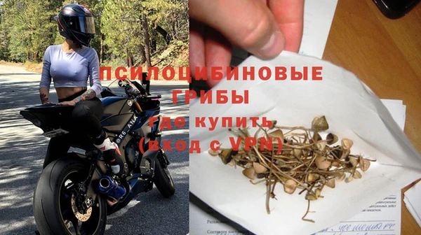 ECSTASY Богородицк