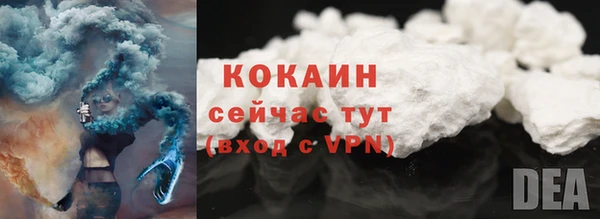 ECSTASY Богородицк