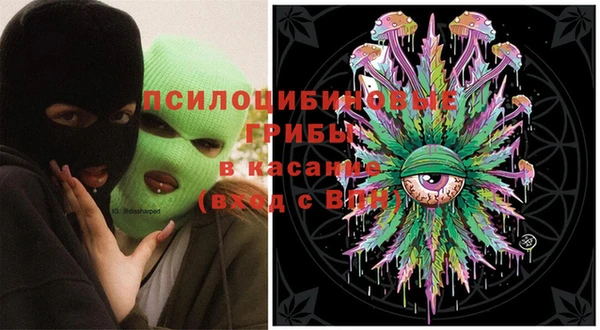 ECSTASY Богородицк