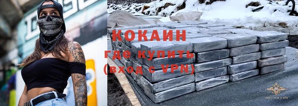 спайс Арсеньев